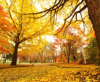 終了しました!【東京・立川】17年11月11日(土曜)確定拠出年金(iDeCo)セミナー(第3回2017年秋)