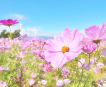 終了しました！【東京・立川】17年10月7日（土曜）確定拠出年金（iDeCo）セミナー（第1回２０１７年秋）