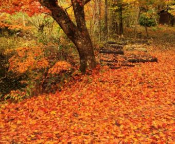 終了しました！【東京・立川】17年12月9日（土曜）確定拠出年金（iDeCo）セミナー（第5回２０１７年秋）