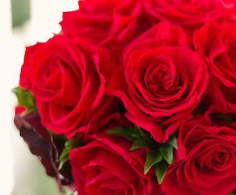 確定拠出年金って何がいいの？（その2）