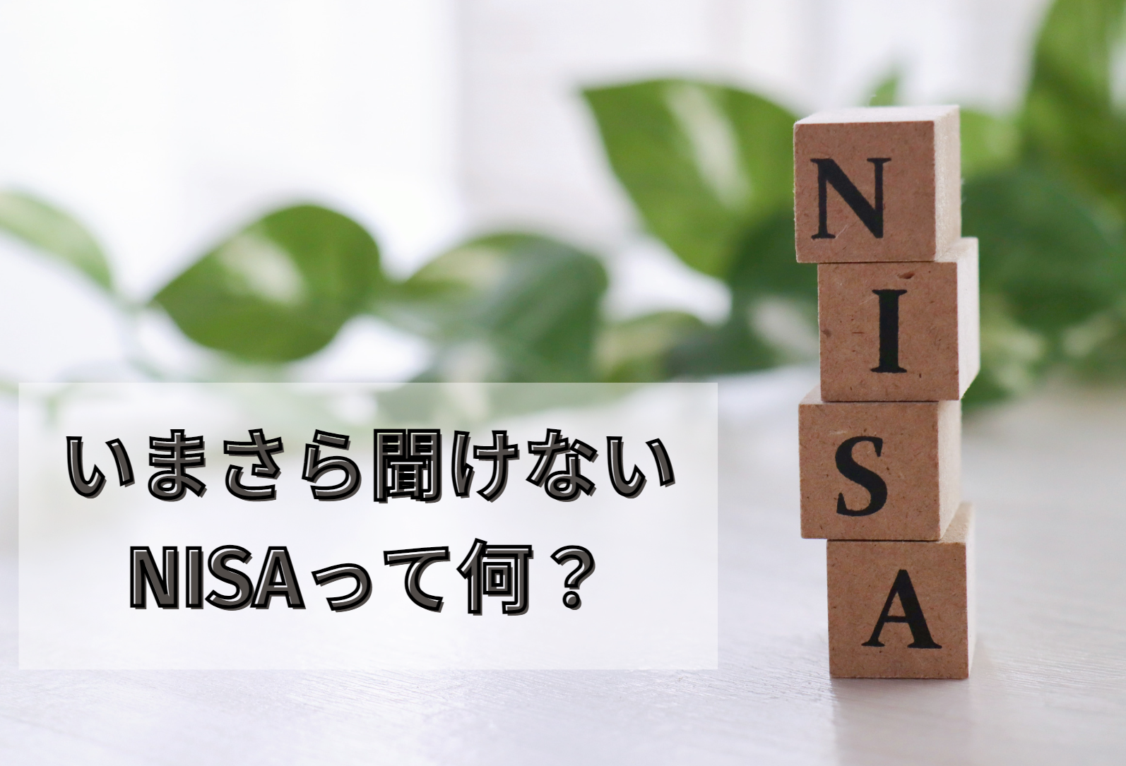 いまさら聞けないNISAって何？