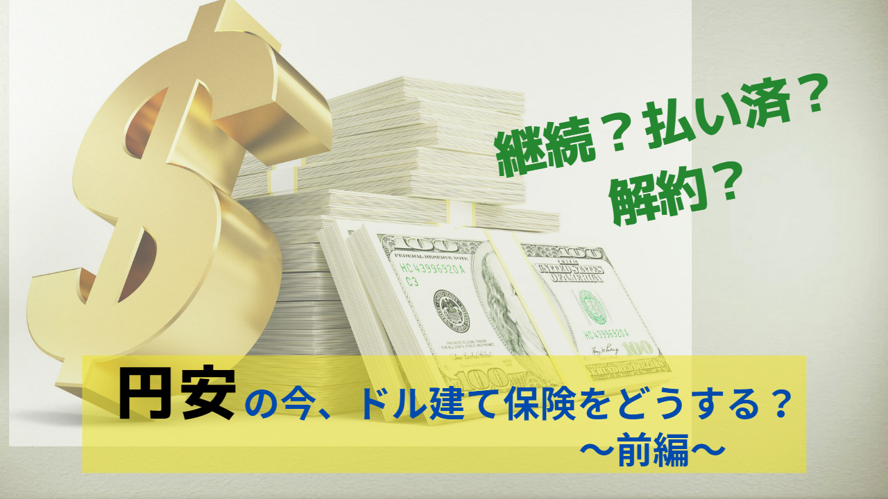 継続？払い済？解約？円安の今、ドル建て保険をどうする？『前編』