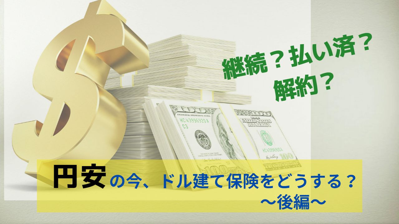 継続？払い済？解約？円安の今ドル建て保険をどうする？『後編』