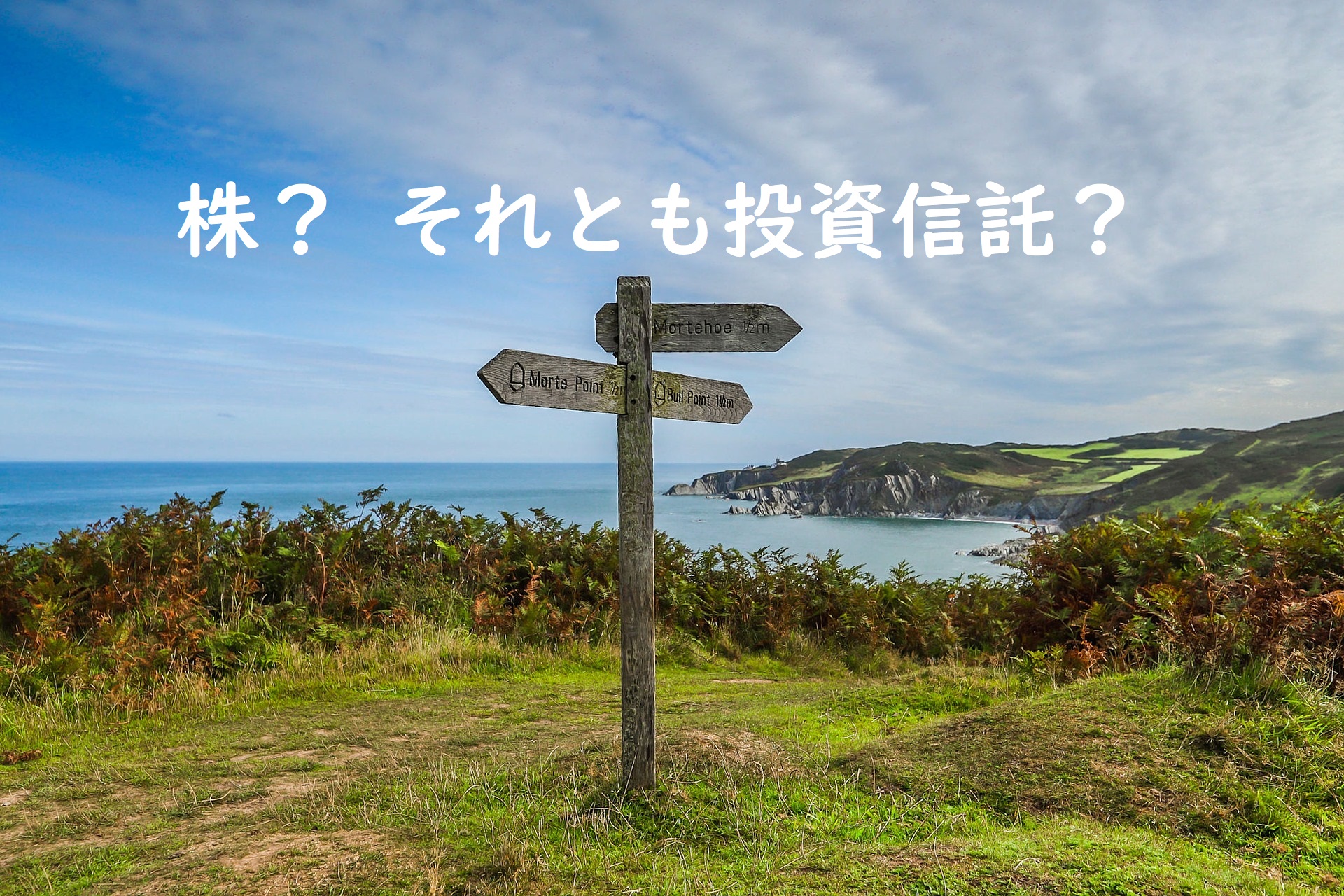 サヨナラ初恋の・・・株式。株と投資信託どちらがいいですか？