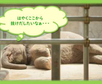 「家計」という枷から抜け出ないと、キャッシュレス時代は生き残れない