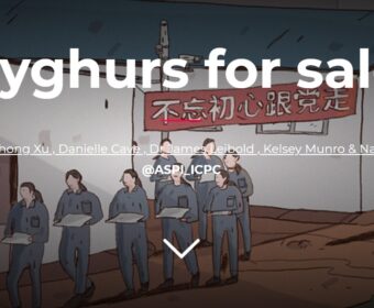 【SDGsの闇】簡単に流されず、ダマされないコツは、ある程度の知識の蓄積と情報のアップデートを!