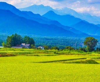 「ふるさと納税」を僕が1度もやったことがない理由とは?