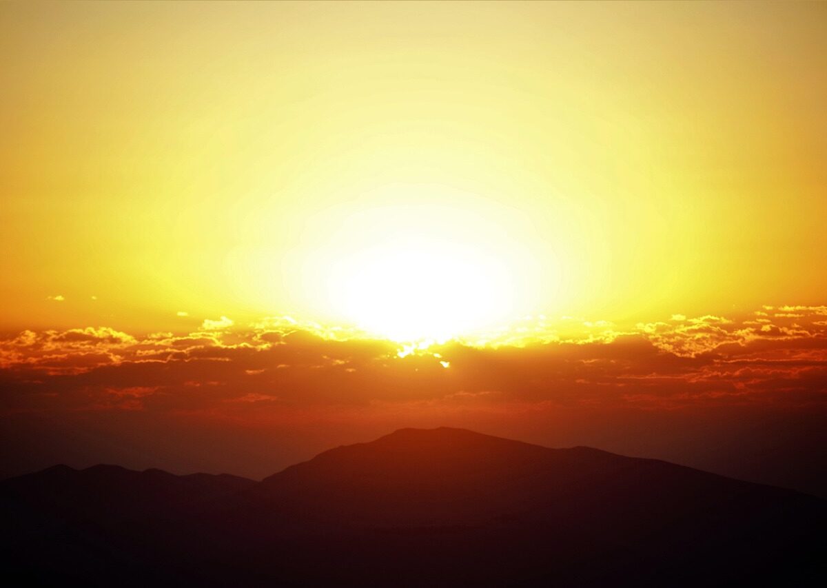 新しき年の明けたるを言祝ぎ白し上げます