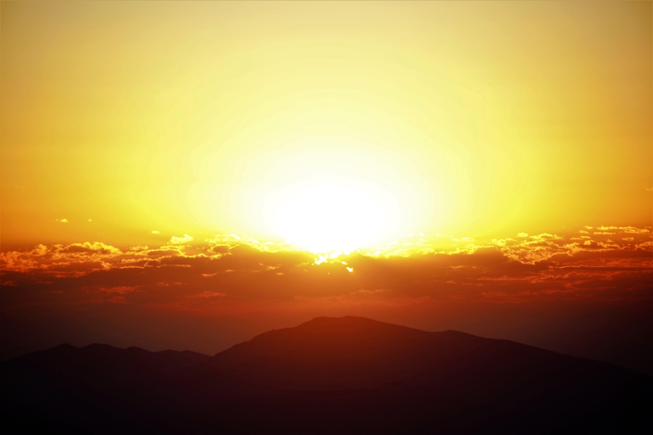 新しき年の明けたるを言祝ぎ白し上げます