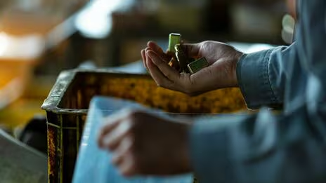 【メディア実績】THE GOLD 60　年金なんて端っから期待してません…48歳手取り月14万円「当然、老後破産です。」“新卒50社不採用”で非正規雇用を続ける氷河期世代の吐捨て【FPが解説】